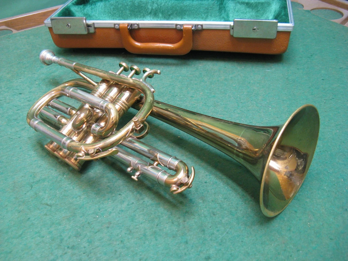高级短号| eBay