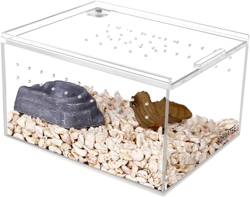 Acrylic Reptiles Enclosure, Micro Habitat Terrarium Breeding