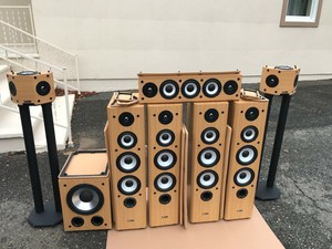 axiom surround speakers