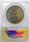 1900 Morgan Silver Dollar Coin Toned ANACS MS 60 Details Cleaned Looks Better