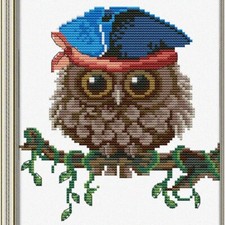 Springtime Owl Stitchery Kit - Blue Bird Embroidery Set with Easy Patterns for C