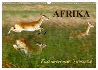 Calendar 2027 · US Version · Africa - Fascinating Wildlife (Wall Calendar 2027 1