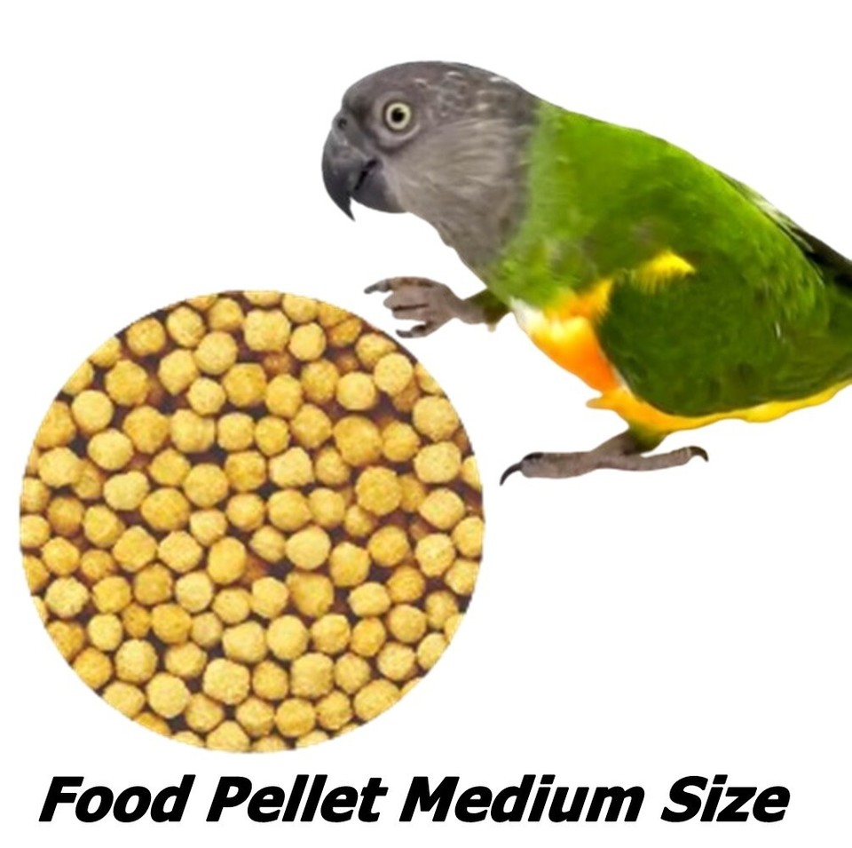 2X Parrot Food Hikari Kirapipi Parakeet Pellet Medium Size Complete