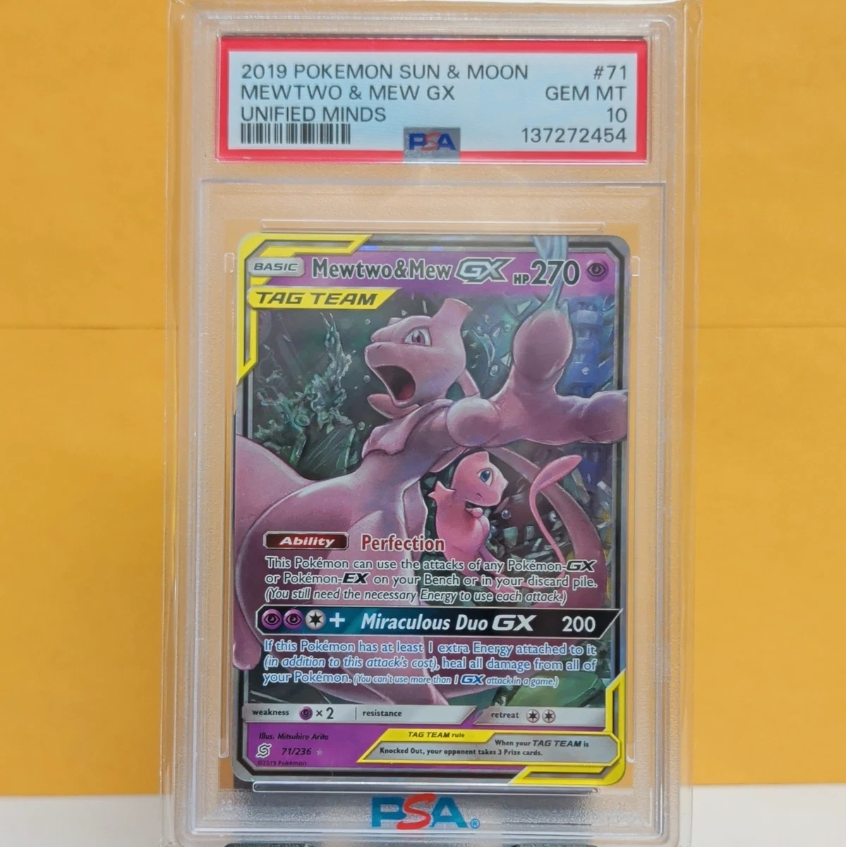 Mewtwo & Mew Gx