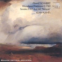 Wanderer Fantaisie d.760/d.625/d.840 von Planes,a. | CD | Zustand sehr gut