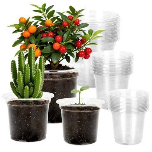 KINGLAKE 15 Pcs Plastic Plant  Assorted item_package_quantitys , sizes