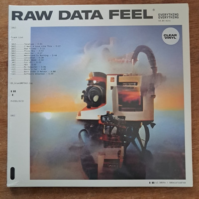 Raw Data Feel by Everything Everything (Record, 2022)
