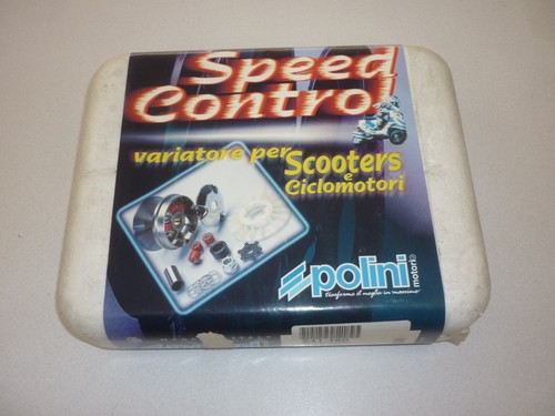 241460 KIT VARIATORE POLINI PIAGGIO ZIP -QUARTZ-NRG MC2-FREE-STORM -TIPHOON - Foto 2 di 3