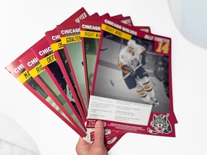 Chicago Wolves AHL LARGE Player Card Lot 10+ 2005-06 Season Stats