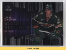 2024-25 Upper Deck SP Game Used Visible Spectrum Liam Ohgren #VS-28 READ 1pa2
