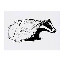'Woodland Badger' Temporary Tattoos / Transfers TO00022465 