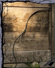 Mittelalter Larp - Ready for Battle Bogen  Epic Armoury