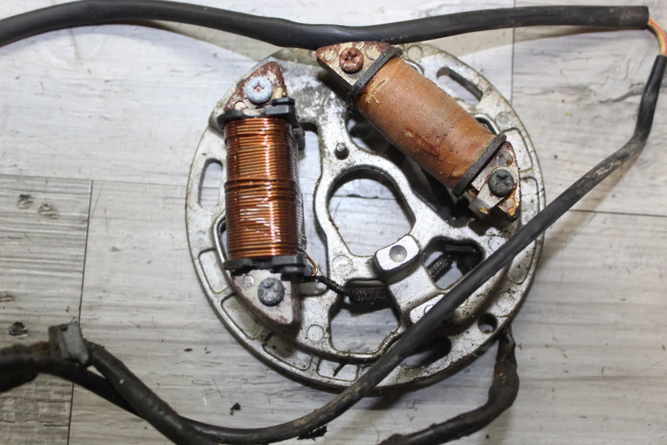 Suzuki Quadrunner 185 Lt185 1984 2x4 estator generador alternador magnético Foto 2 de 4