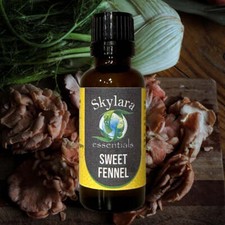 100 Pure and Natural Sweet Fennel Essential Oil FREE SHIPPING