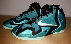 lebron x1