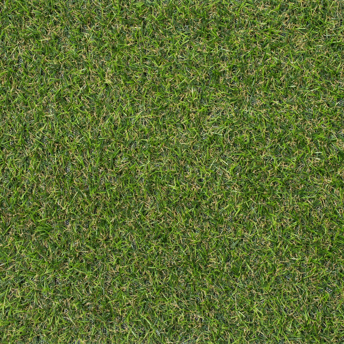 Realistic Turf