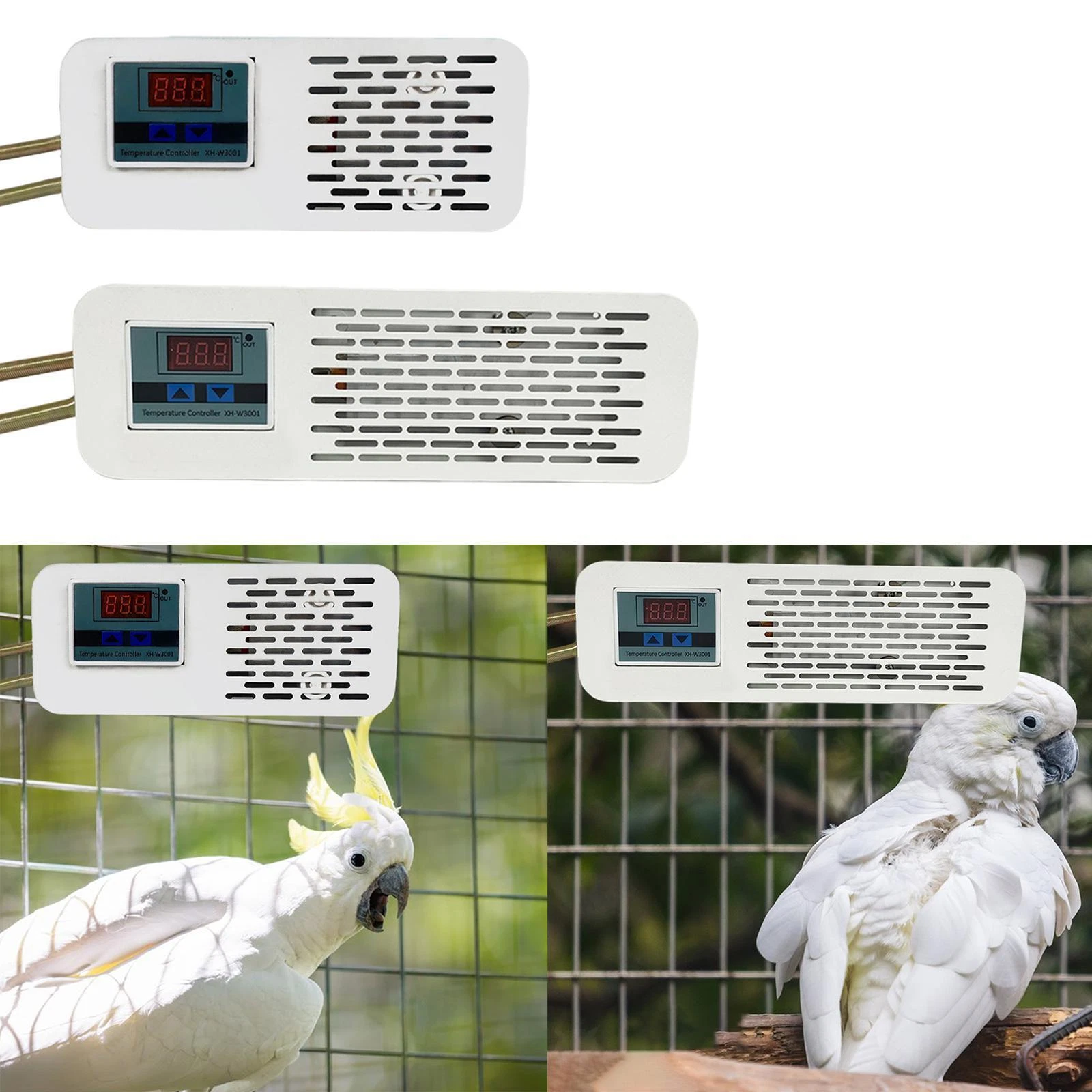Bird Heater for Cage Stable Bird Warmer for Parrots Small Birds Parakeets
