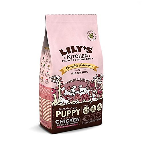 lily's kitchen puppy chicken & salmon