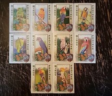 2021 Topps Allen and Ginter Birds of a Feather Complete Insert Set (10) Parrots