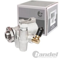 SKV Servopumpe Servolenkung Passend FüR Seat Toledo VW Corrado Golf Jetta