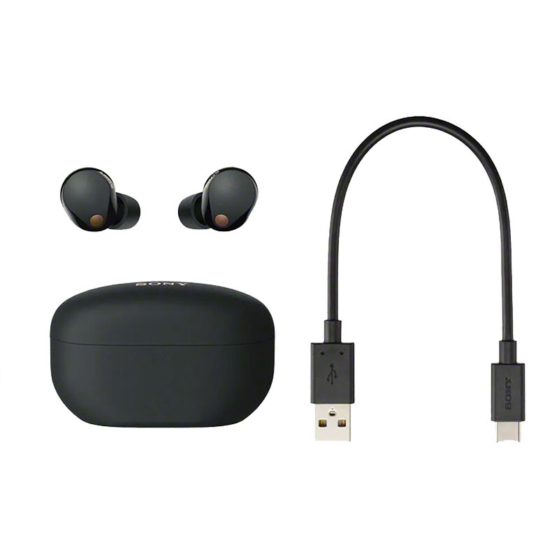 WF-1000XM5 Truly Wireless Bluetooth Noise Canceling Headphones Black