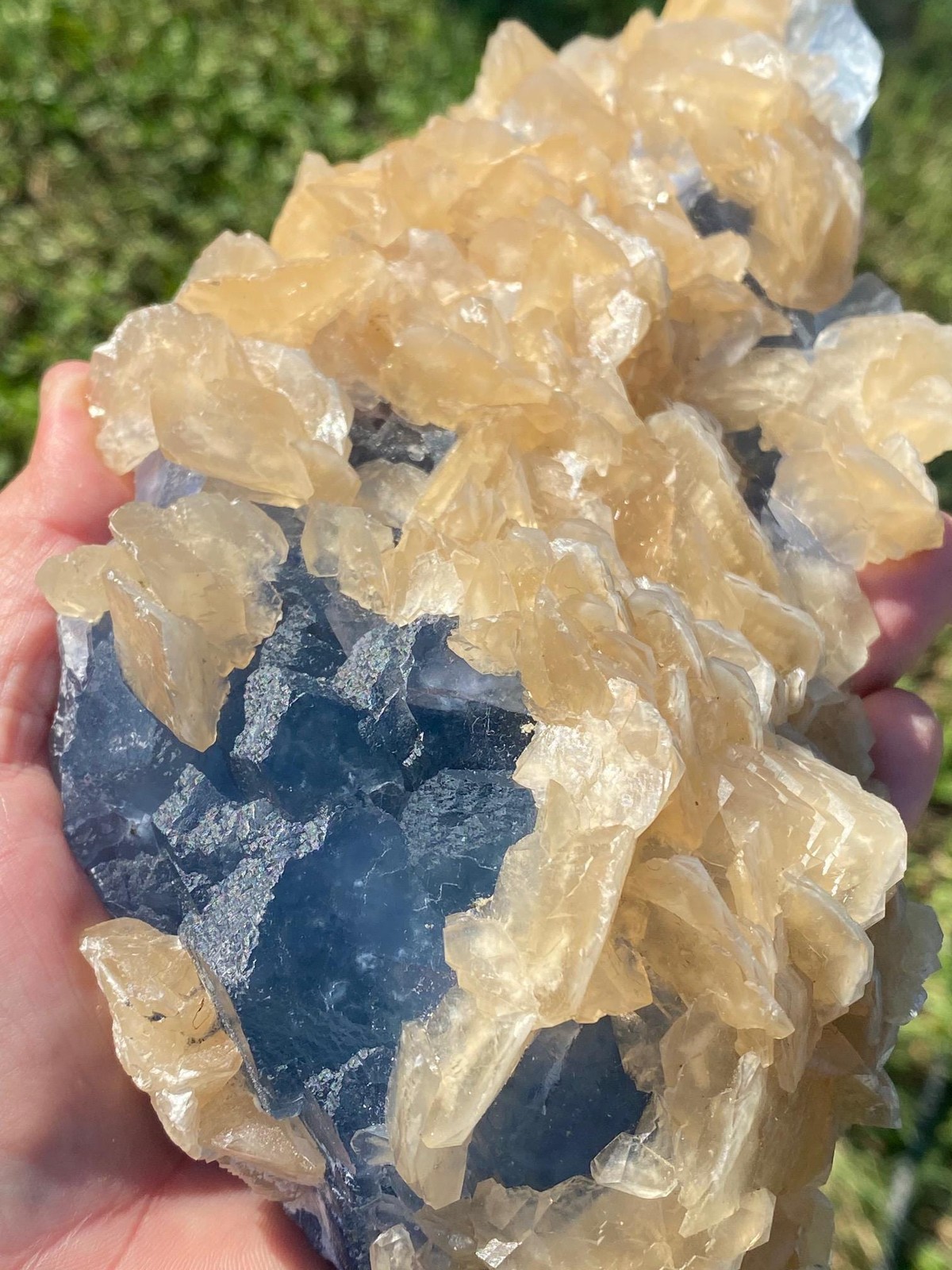 Stunning XL Blue Fluorite Crystals with Golden Calcite Specimen