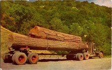 Calpella CA postcard LOGGING TRUCK HAULING GIANT LOGS a/12 AW1302