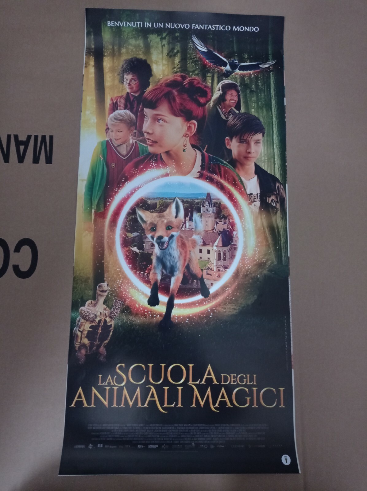 Locandina originale film La scuola degli animali magici (2021) - Regia di Gregor Schnitzler