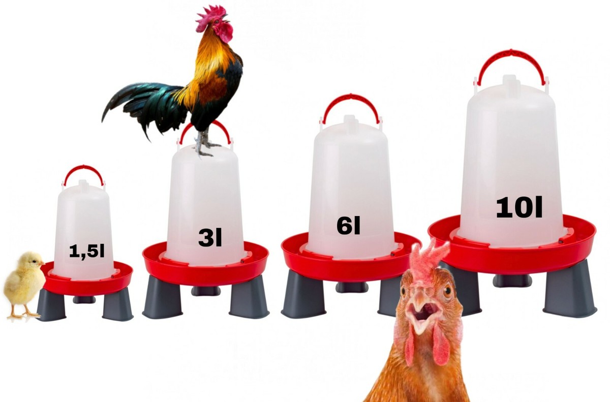 Automatische Hühnertränken (6 Stück) – Geflügeltränke Aus PP Mit Edelstahlfeder, Für Hühner, Enten, Gänse, Selbstnachfüllend