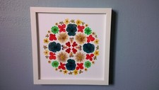 real pressed flower art mandala framed