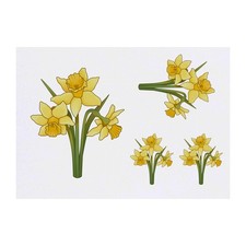4 x 'Daffodils' Temporary Tattoos / Transfers TO00039571 