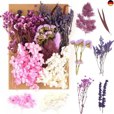 SOSPIRO Natürliche Getrocknete Blumen,Trockenblumen zum Basteln,Blumen 