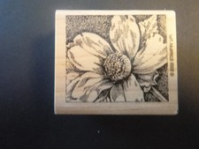 Daisy Flower with background - Rubber Stamp - Wood Mounted - NEW