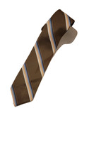 Vitaceae Manzoni Men's Brown Striped 100%nPolsr-ster Pointed Necktie Made in USA
