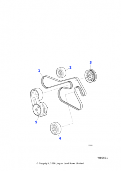 Jaguar X-Type Idler C2S44699 GENUINE | eBay