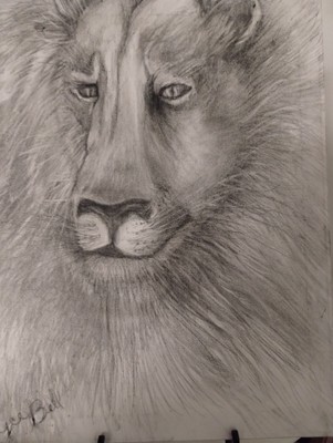 Black & White Original Lion Charcoal Drawing 16 x 20 Canvas by Artist Joyce Bell