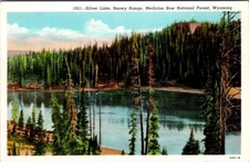 Vintage Postcard Silver Lake, Snowy Range, Medicine Bow National Forest JS3