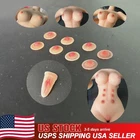 US 1/6 Nipple Cover Breast Chest Patches Props For 12" Female PH TBL Figure Body
