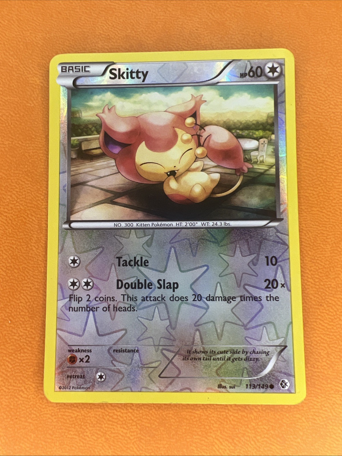 Skitty 113/149 Common Reverse Holo Pokemon Card Boundaries Crossed - LP