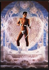 Modern Postcard: ADONIS by Pierre et Gilles. Free UK p&p