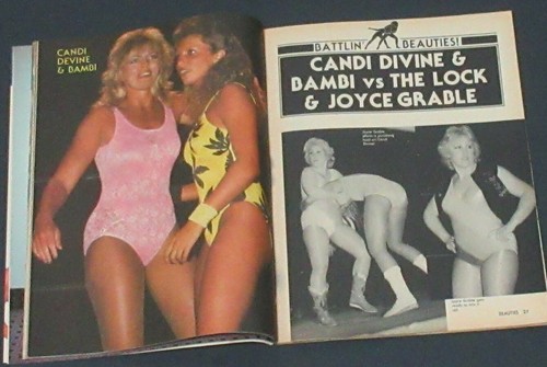 Beauties of Wrestling #4 WWE Diva Candi Divine Medusa Micelli Brandi Mae Poster - Picture 9 of 12