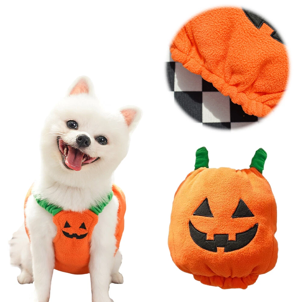 VETEMENTS Vestiti zucca carini cane due zampe animale domestico Halloween festa cosplay vestito abiti