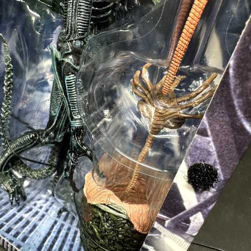 NECA Aliens Ultimate Edition 7" Scale Blue Alien Action Figure (1986) - NIB - Picture 8 of 11