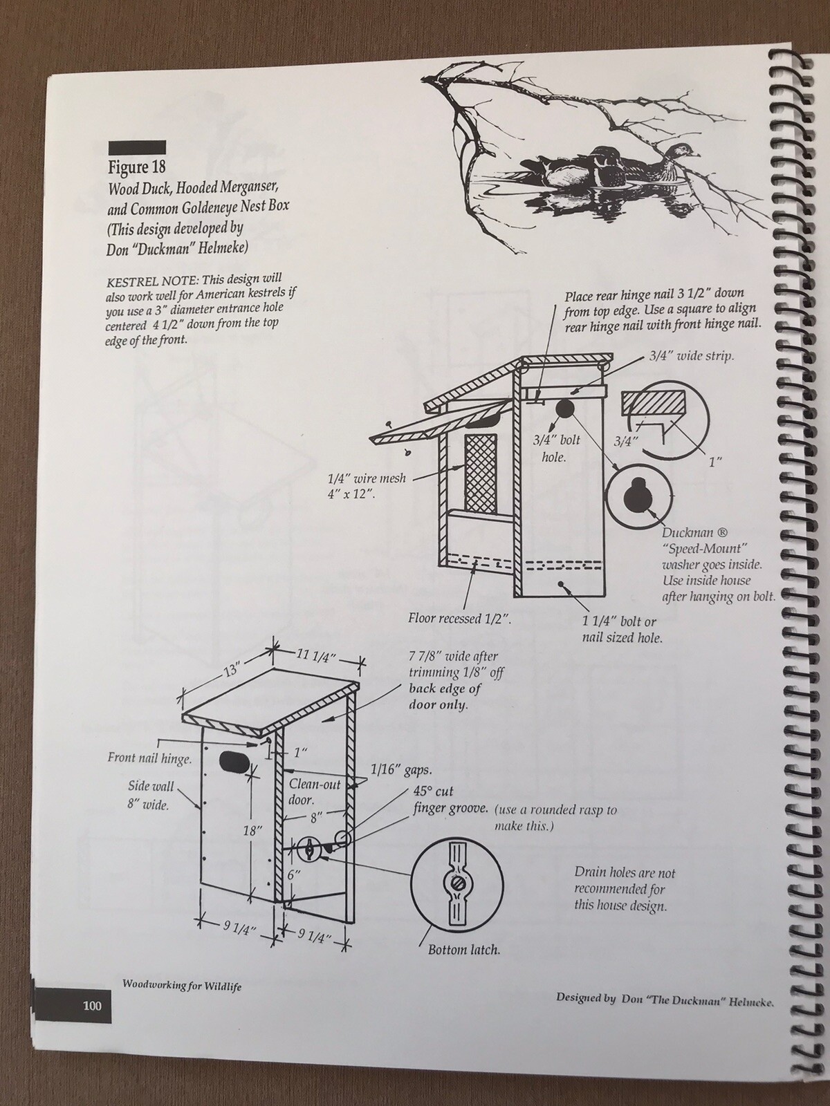 Picture 10 of 13