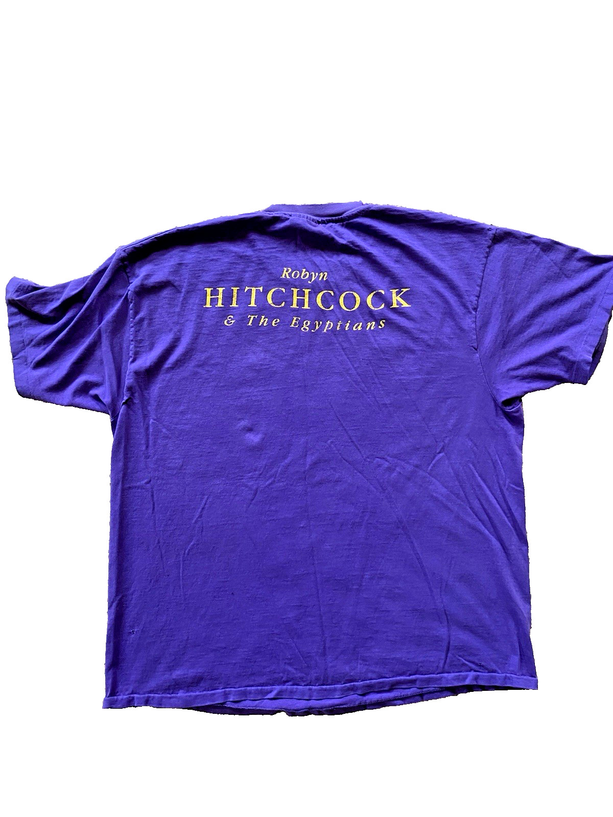 Robyn Hitchcock & The Egyptians 1993 Respect Tour T-Shirt XL Hanes Vintage RARE image 2