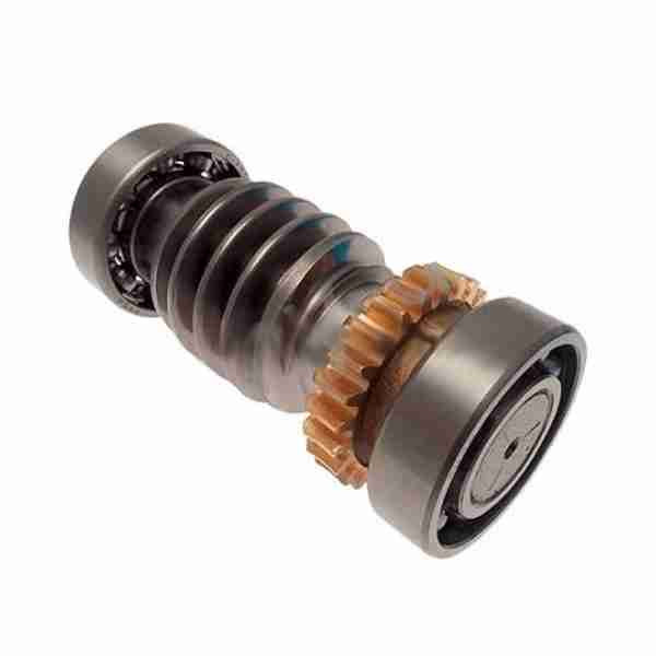 Kit CAME 119RIA016: Vite Senza Fine e Cuscinetto per FROG Interrato