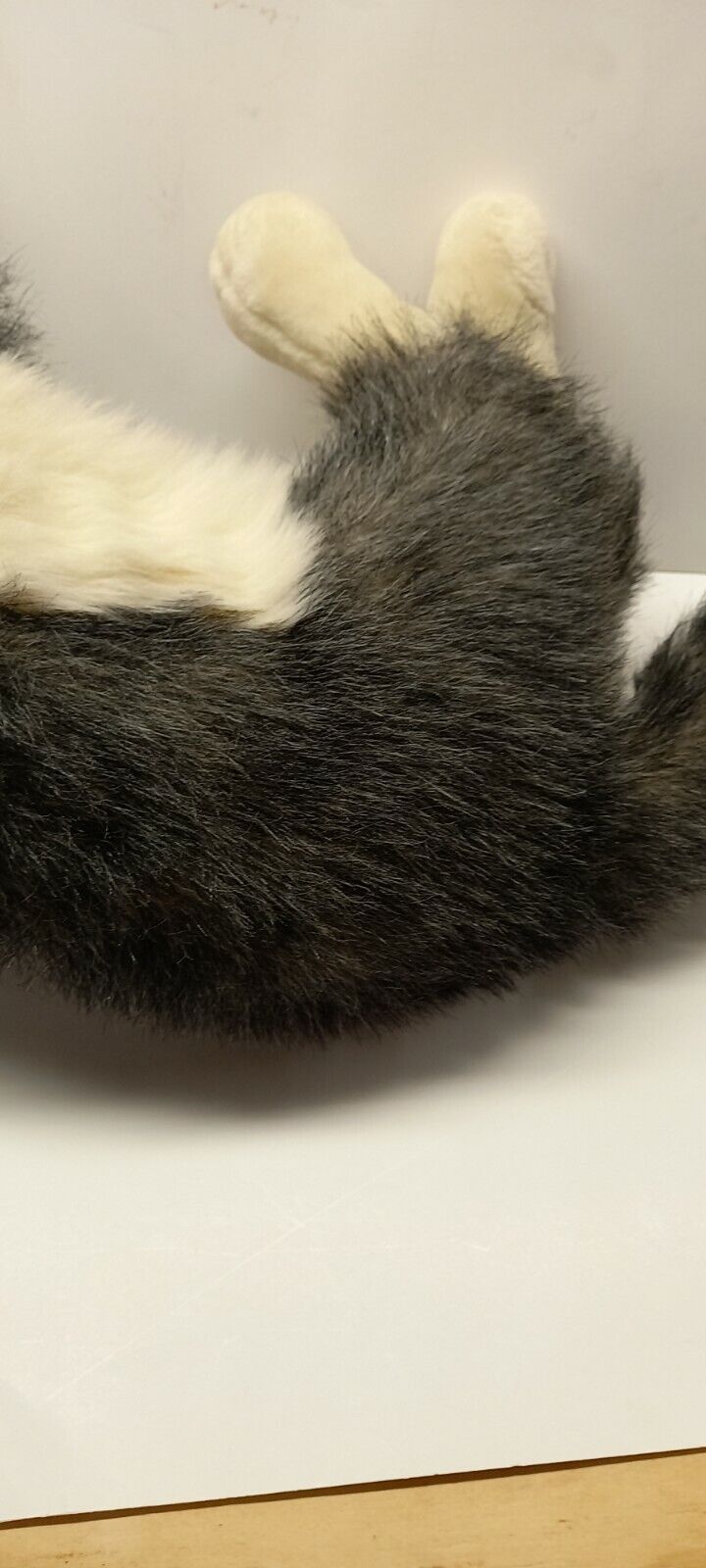 Picture 5 of 12