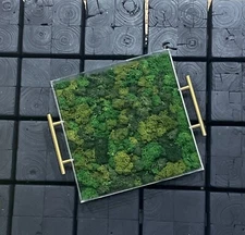 Moss decorative tray 