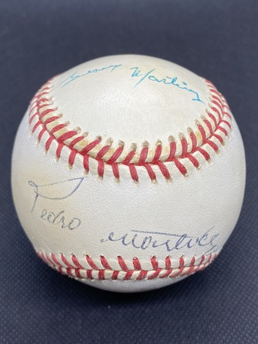 Pedro Martinez Ramon Jesus Brothers Signed Baseball Rookie Era Dodgers Red Sox