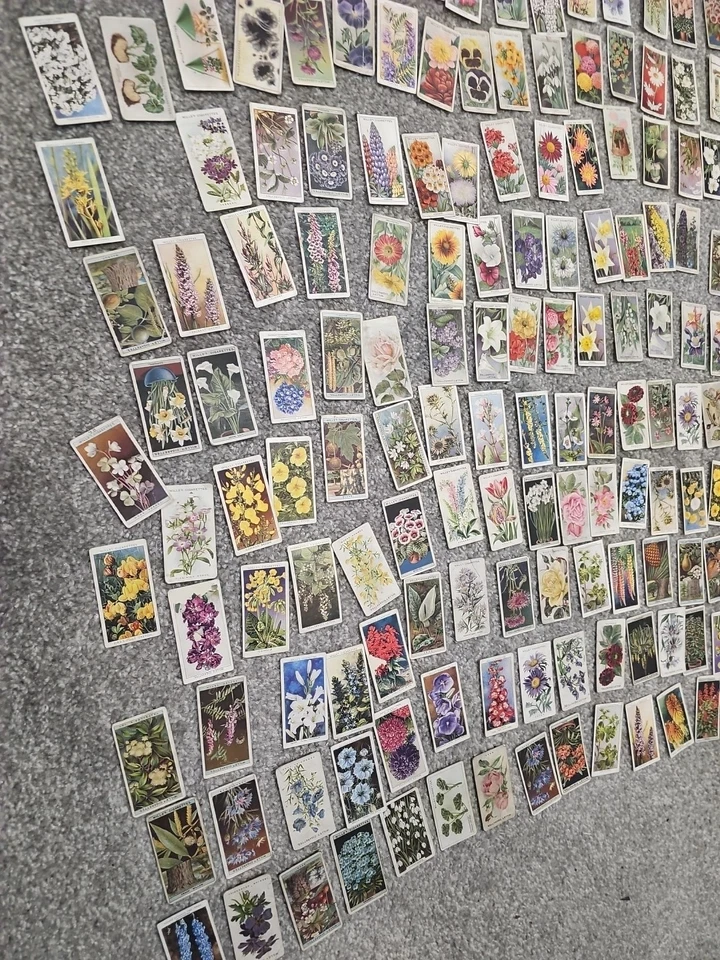 Vintage Cigarette Card Lot 250 ApFlower Cards – Wills's, Player's, Ogden's 1930s - Image 4 of 4